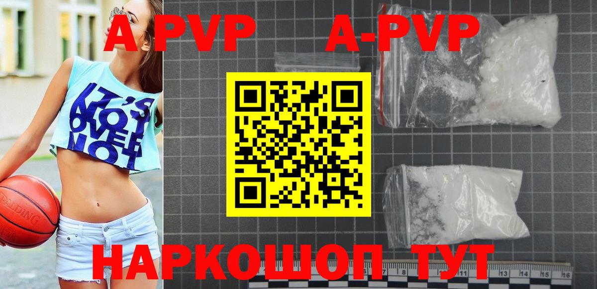 A PVP СК КРИС Балтийск