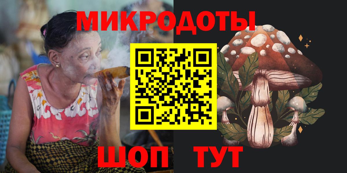 Псилоцибиновые грибы Psilocybe  Вход с VPN  Балтийск 